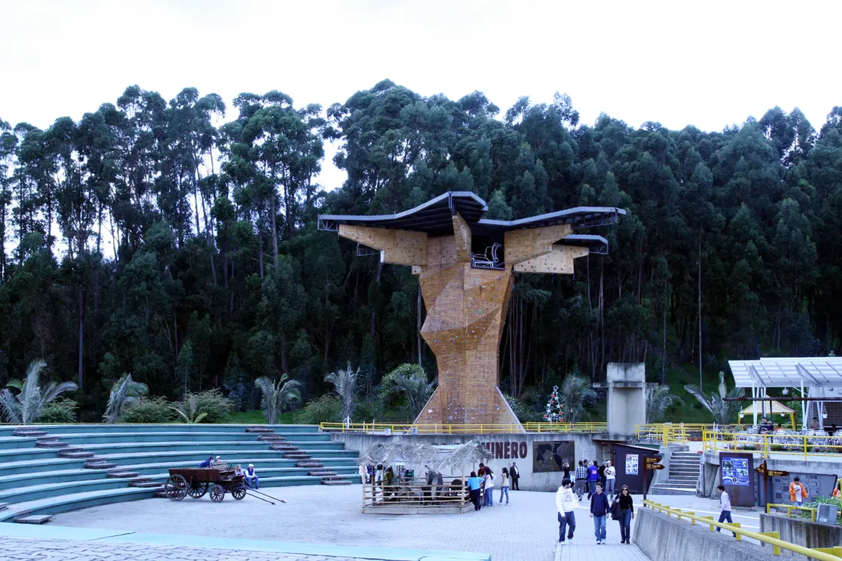 A tall wooden climbing wall shaped like a tree rising above an amphitheatre and a paved walkway, with eucalyptus forest behind